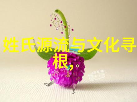 纳西族简要