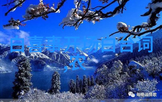 葬埋禁忌