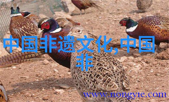 真不同洛阳水席制作技艺