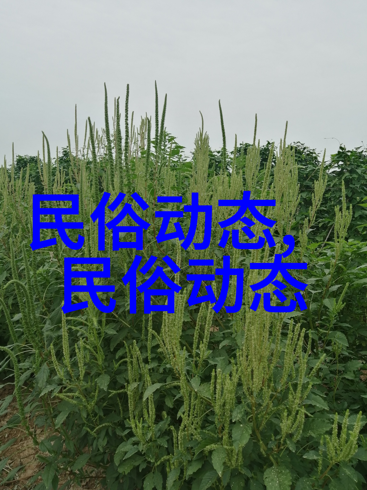 重庆小吃磁器口古镇三宝