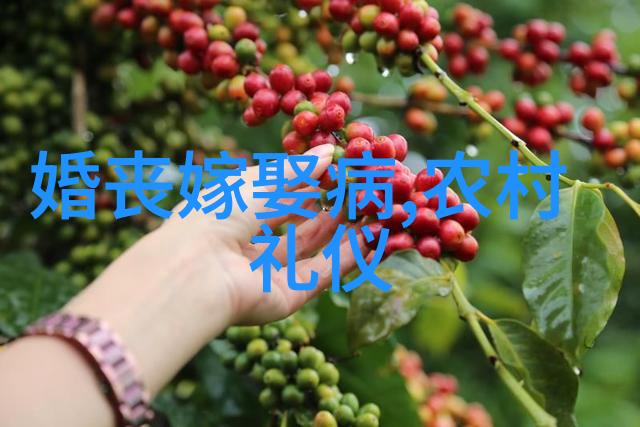 洗屎肉和姑鞋潮汕婚俗中对母爱的感恩