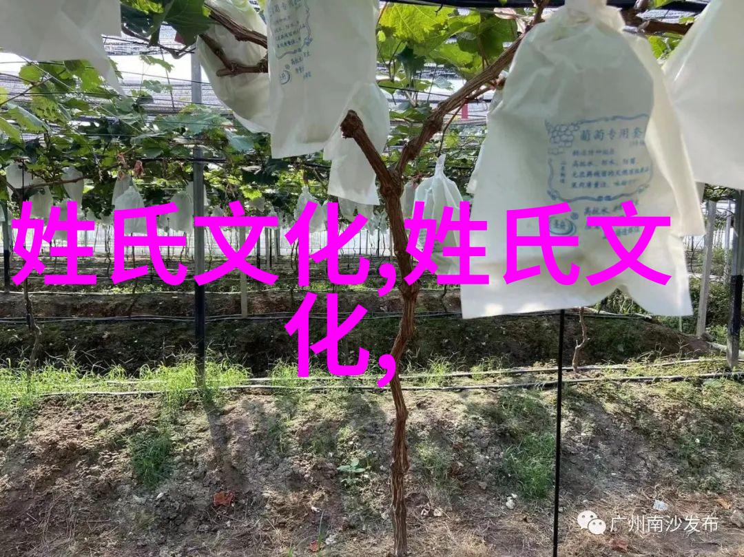羌氏百科